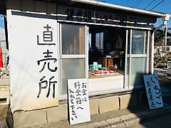 鎌倉観光いちご園.JPG