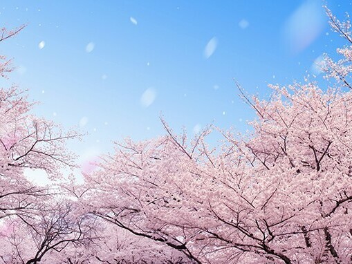 六義園昼桜.jpg